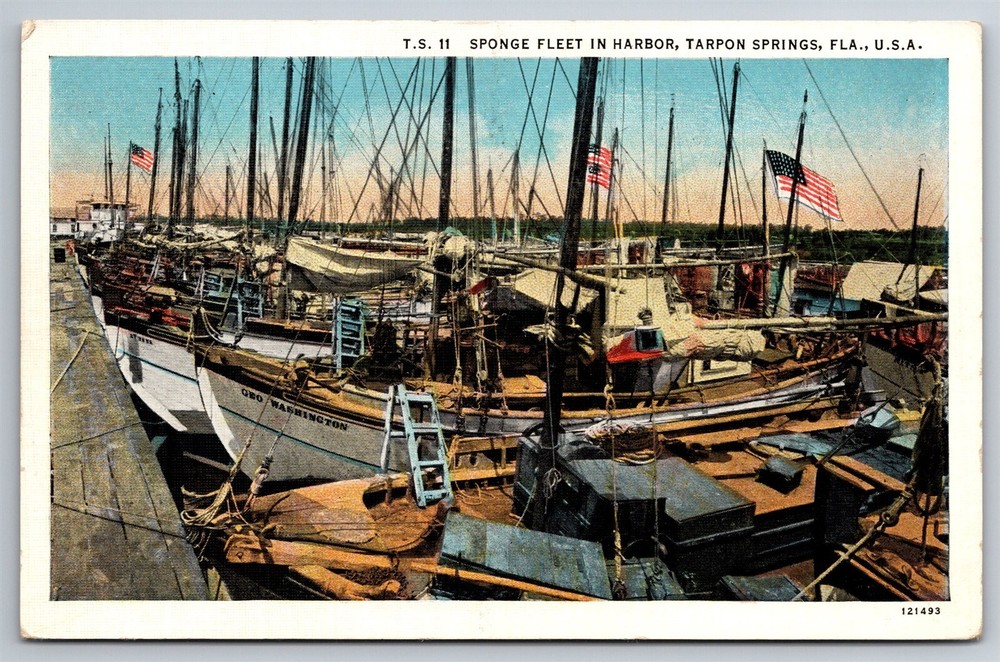 Sponge Fleet In Harbor Tarpon Springs Florida FL C1940s Postcard Y19