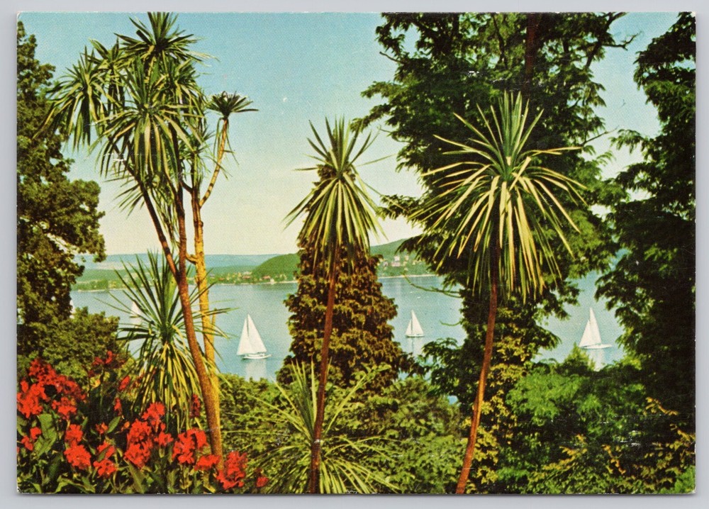 Insel Mainau Island Lake Constance Germany, Sailboats, Vintage Postcard