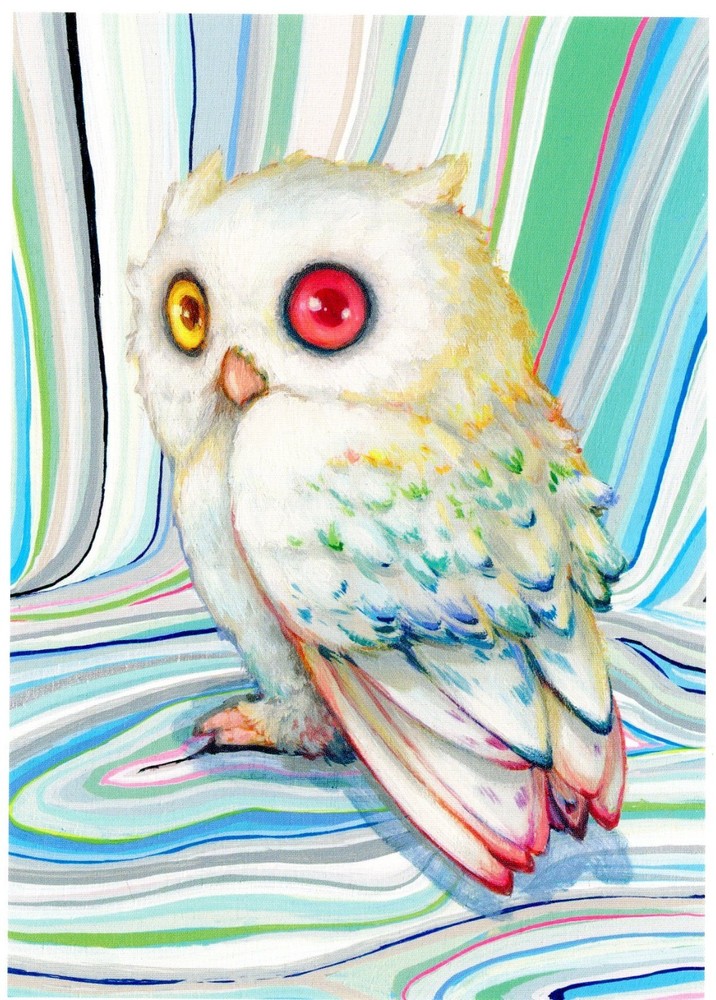 BooHoo by Camilla d'Errico, Pop Manga, 2025 --New POSTCARD