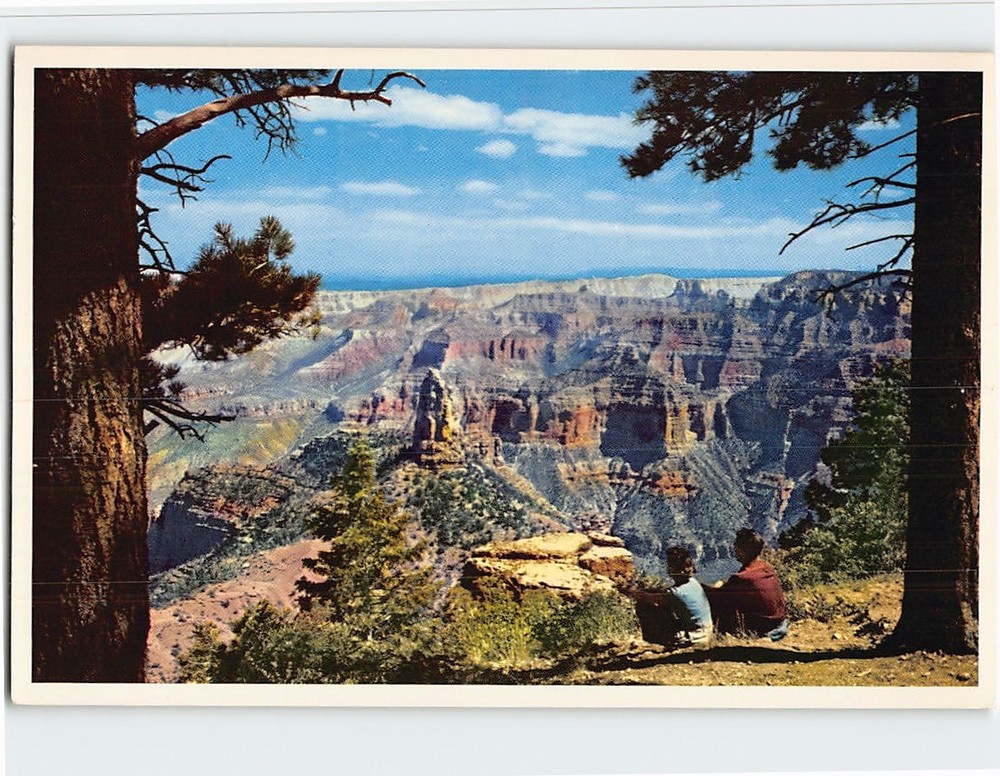 Postcard North Rim Of Grand Canyon Of The Colorado Arizona USA