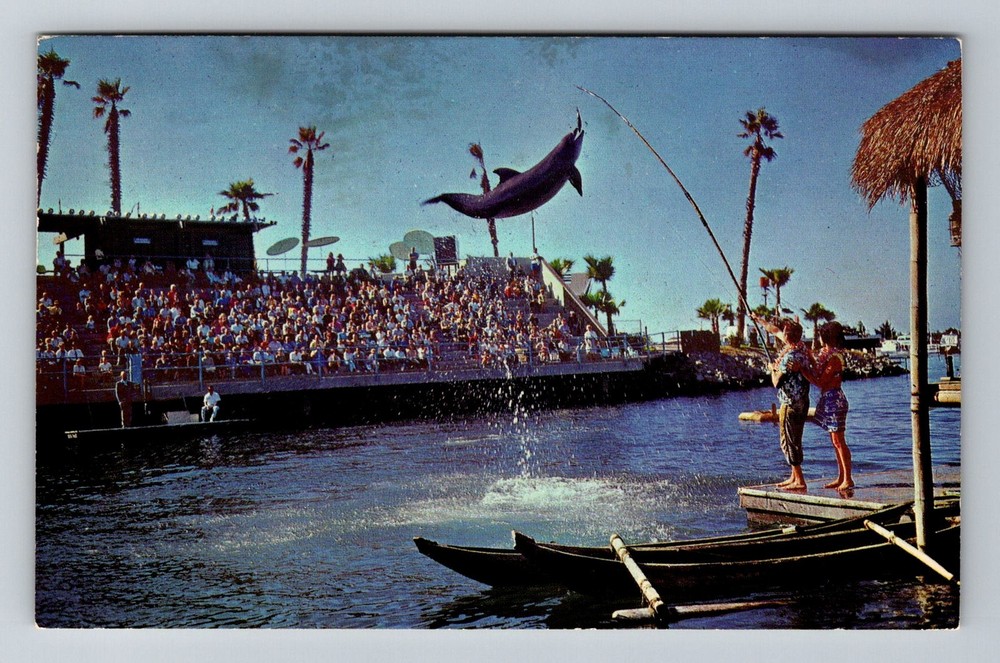 San Diego, CA-California, Sea World Lagoon Dolphin Show Vintage c1966 Postcard