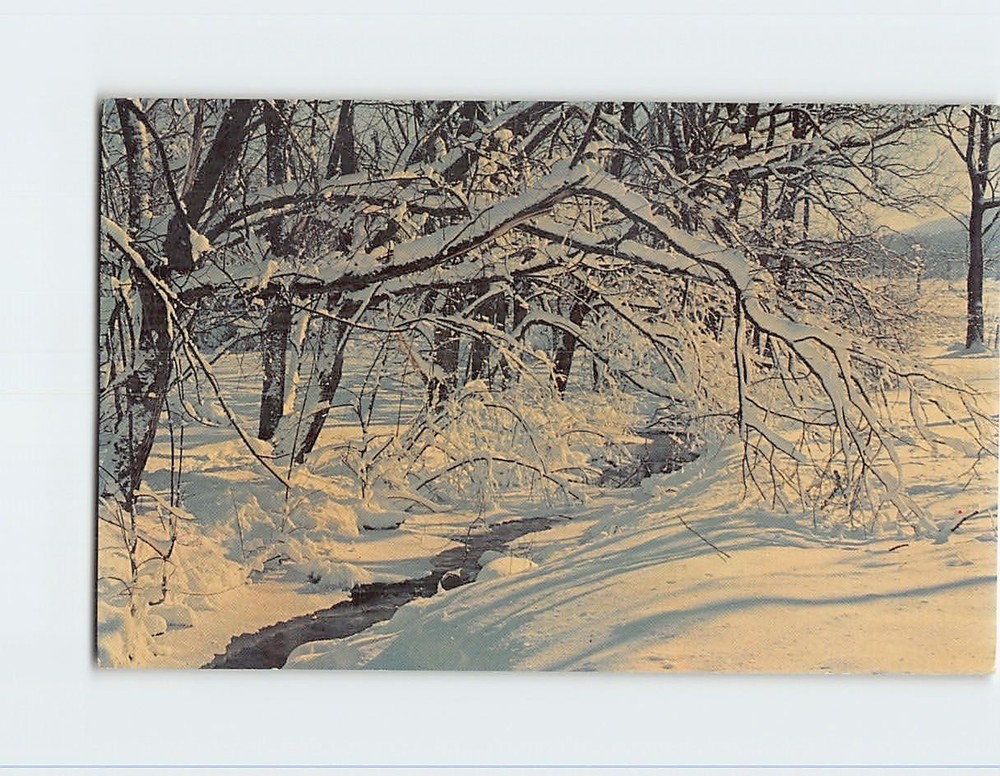 Postcard Winter Wonderland Greetings From The Pocono Mountains Pennsylvania USA