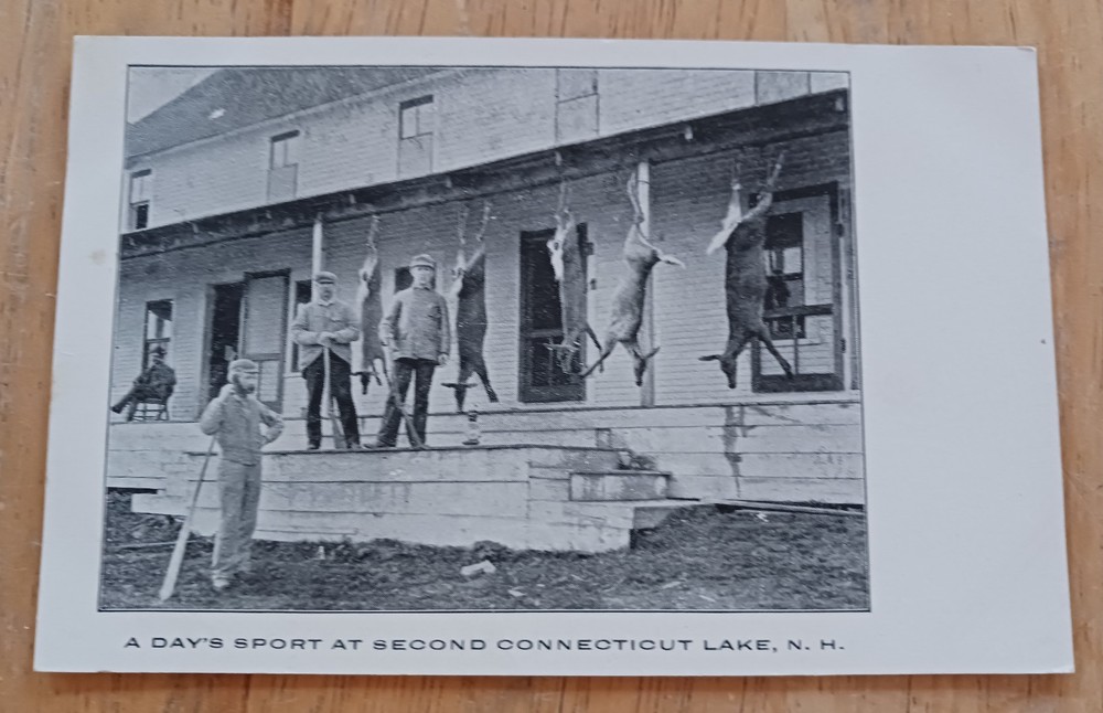 Vintage Postcard, Deer Hunting, Second Connecticut Lake, New Hampshire