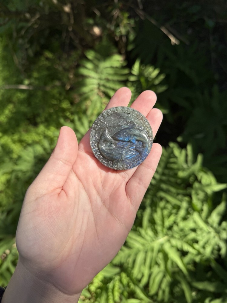 Labradorite Pieces Zodiac Carving | Crystals, Astrology, Talisman
