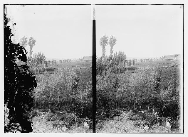 Photo:Jerash Jordan 1900s Roman Ruins Landscape Stereo View