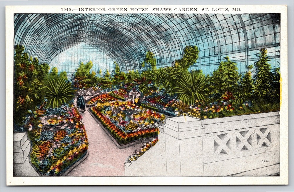 Interior~St Louis Missouri~Scenic Green House @ Shaws Garden~Vintage Postcard