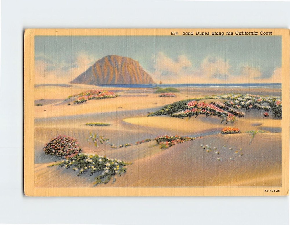 Postcard Sand Dunes Along the California Coast USA