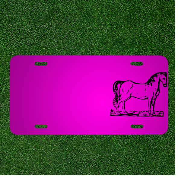 Create Your Own Custom Personalized Car License Plate Featuring Horse Decoration and Added Names