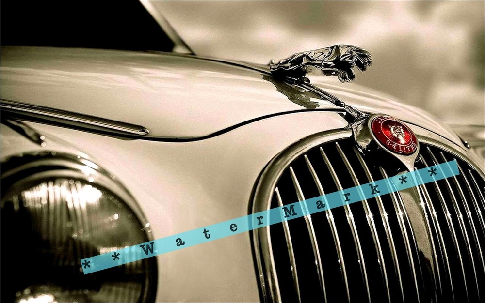 Jaguar Hood Ornament Photo Vintage Poster Print Retro Style Home Bar Wall Art