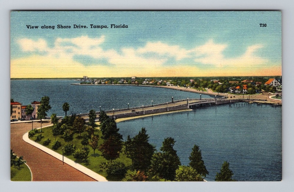 Florida FL Tampa View Along Shore Drive Vintage Postcard