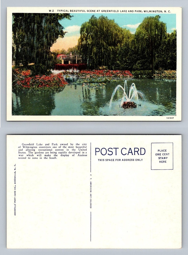 Wilmington, NC-North Carolina, Greenfield Lake Park Gardens Vintage Postcard