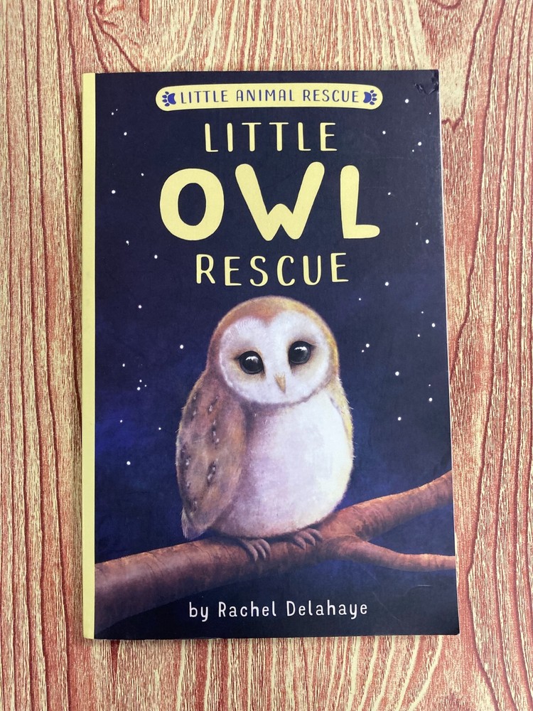 Little Owl Rescue (Paperback) - LIKE NEW