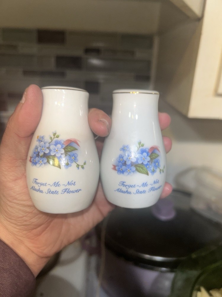 VTG Alaska State Flower Salt & Pepper Shakers Forget Me Not