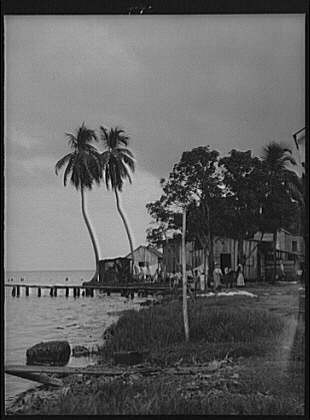 Photo:Cuba Guatemala 1900s Waterfront Docks Piers Palm Trees Shoreline
