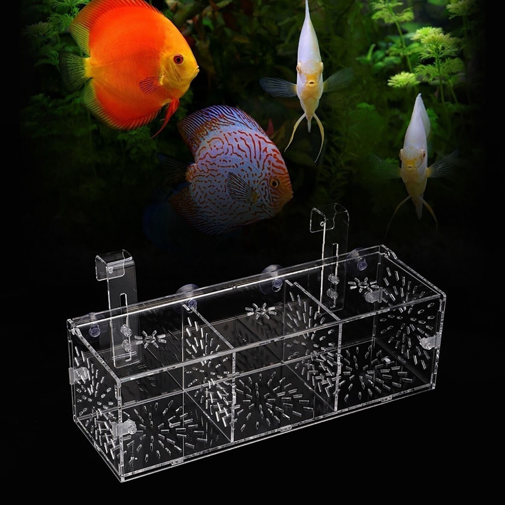 Acrylic Transparent Fish Tank Breeding Isolation Box Aquarium Hatchery Incubator