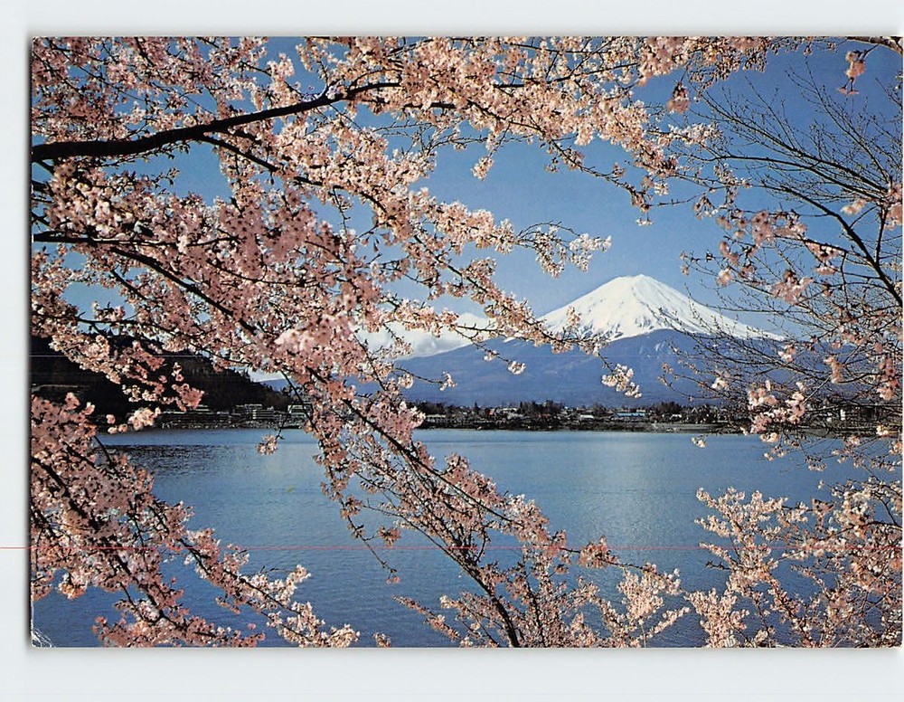 Postcard Lake Kawaguchi In Spring Mt. Fuji Japan