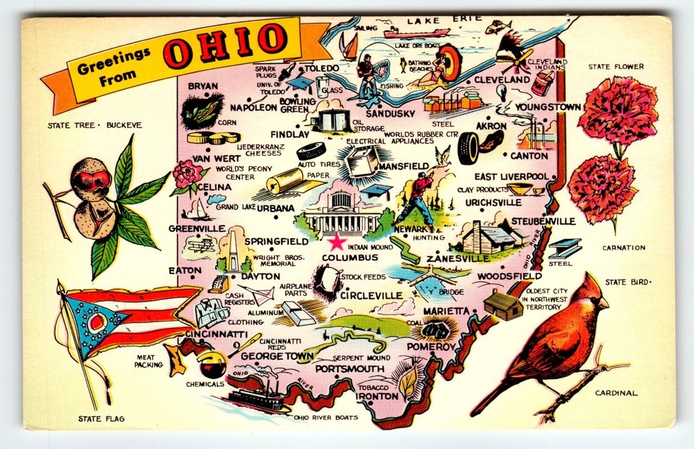 Greetings From Ohio Map Postcard Chrome Cardinal Bird Flag Buckeye State Tichnor