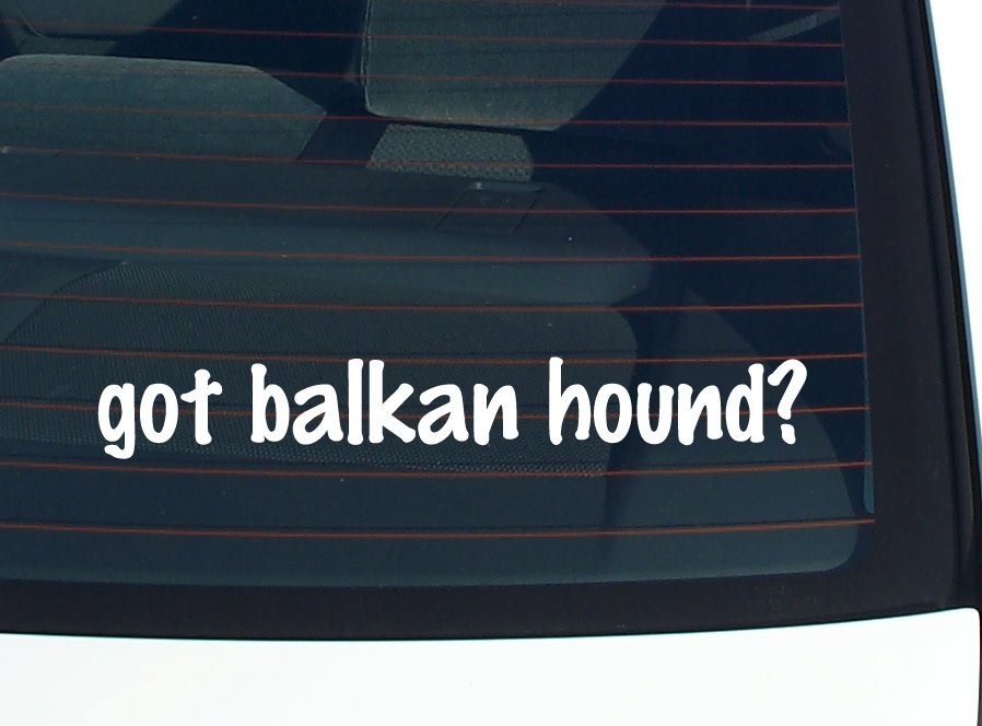 got balkan hound? CAR DECAL BUMPER STICKER VINYL FUNNY JOKE WINDOW