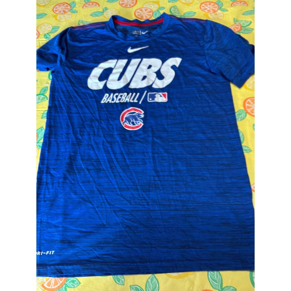 Nike Chicago Cubs Baseball T-Shirt Mens Small Blue Dri-FIT MLB Performance Tee