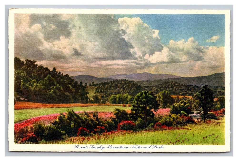 Great Smoky Mountains National Park Distant View Clingman's Dome Linen Postcard