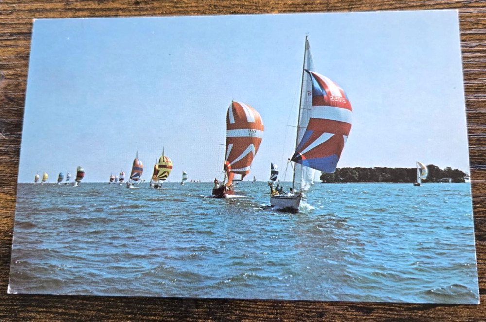 I-LYA Regatta Put-in-Bay Ohio OH Sailboats Vintage Postcard Lake Erie