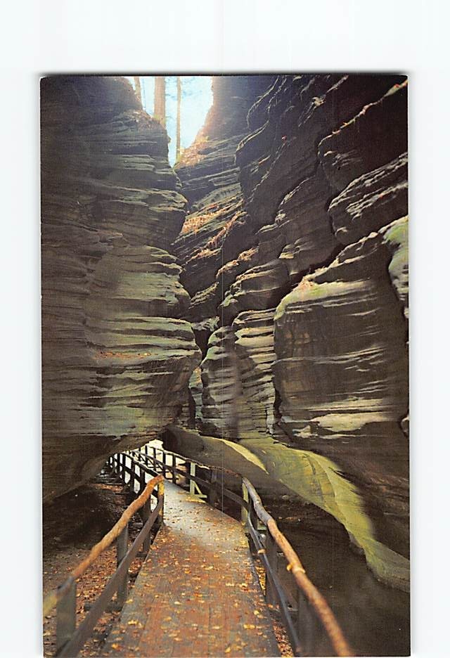 Postcard Spooky Lane Witches Gulch Wisconsin Dells Wisconsin USA