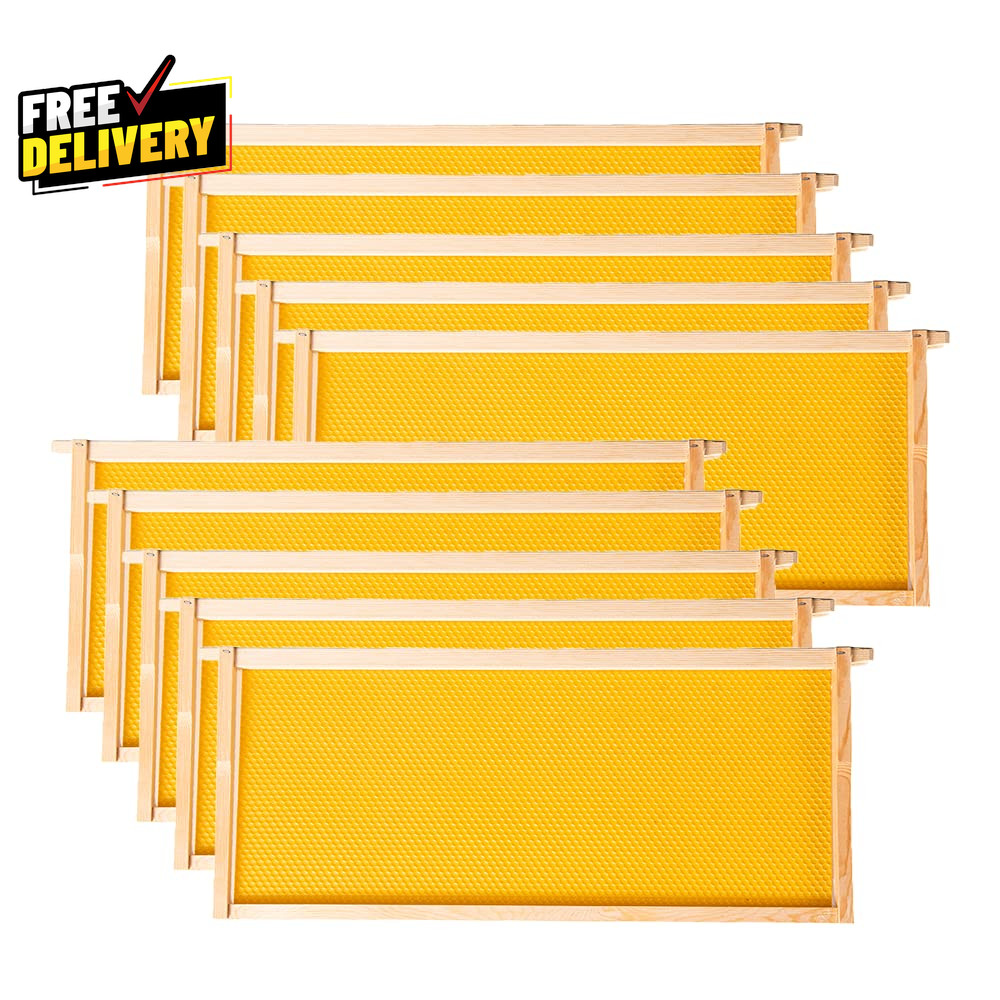 Deep Brood Beehive Frames with Wax Foundation,10 Pack Honey Bee Frames with 100%