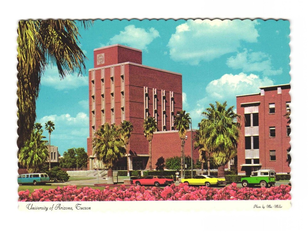 University of Arizona Tucson Administration Building VTG postcard UNP