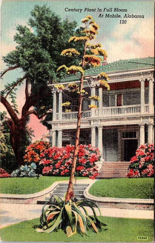 Postcard HOUSE SCENE Mobile Alabama AL m/09 AL4340