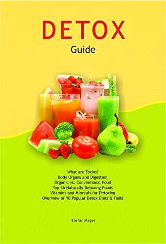 Detox Guide - Paperback, by Stefan Mager - Very Good j