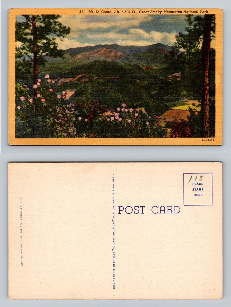 Gatlinburg, TN-Tennessee, Mt Le Conte Smoky Mountains Vintage Postcard