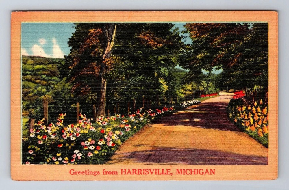 Harrisville MI-Michigan, General Greetings, Antique Vintage Souvenir Postcard