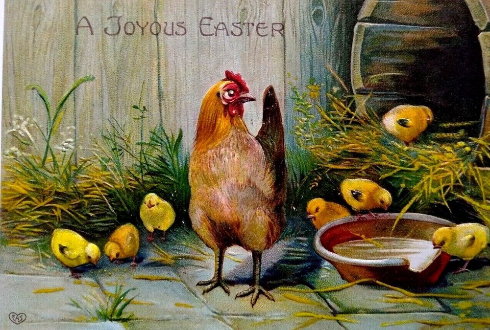 Easter Postcard Rooster Chicken Baby Chicks EAS Germany Embossed Unused Vintage