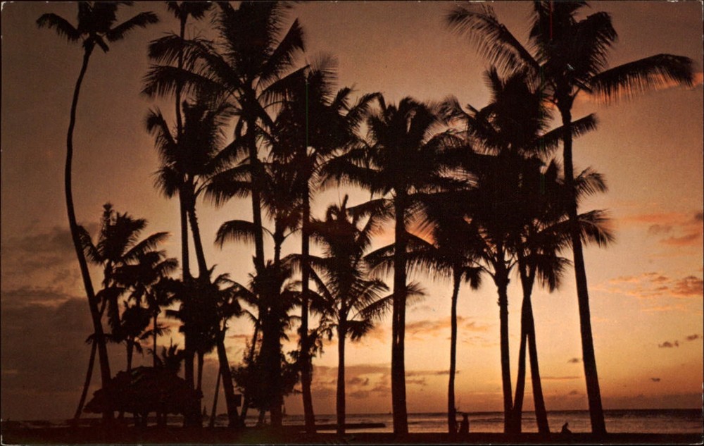 Honolulu Hawaii Waikiki scene at sunset palm trees unused vintage postcard