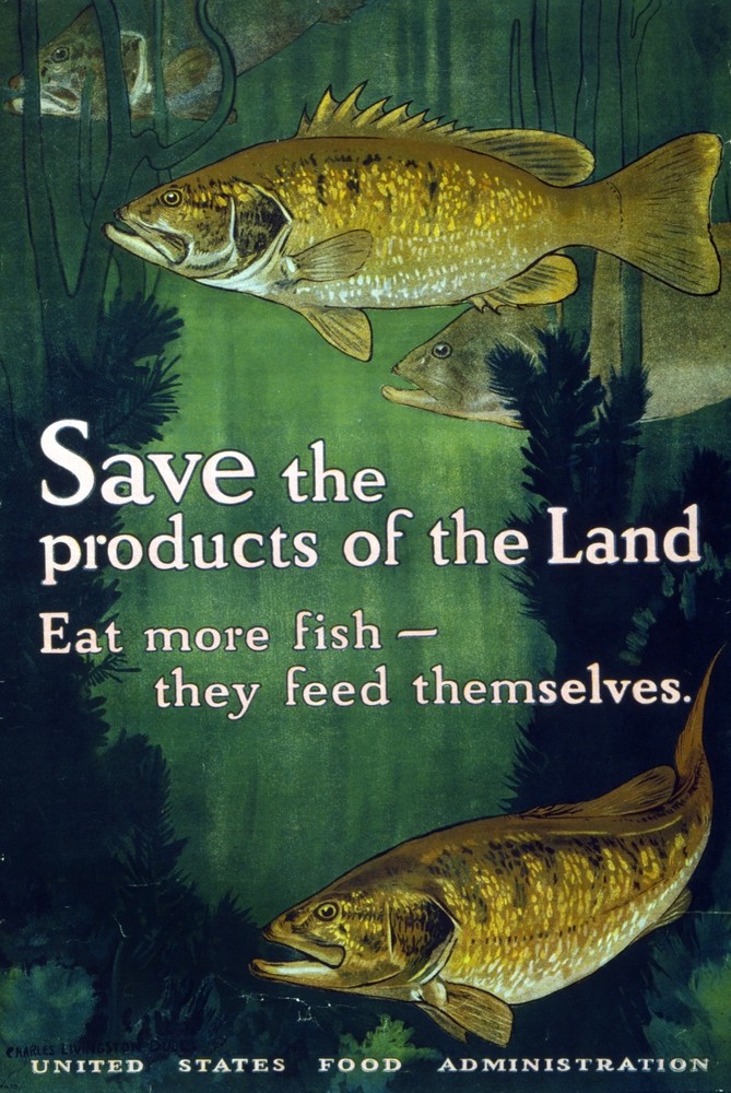 U S Food Administration Decor Poster. Fine Graphic Art. Interior Design. 2172