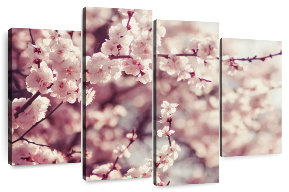 Delicate Cherry Blossoms Wall Art