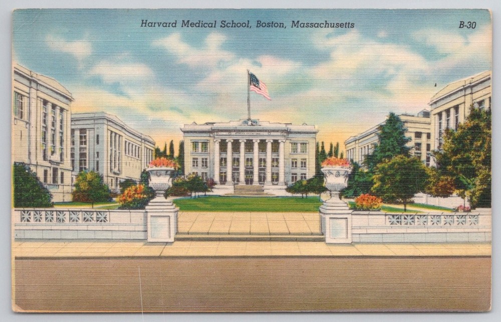 Harvard Medical School Boston MA Linen Postcard Colourpicture Vintage