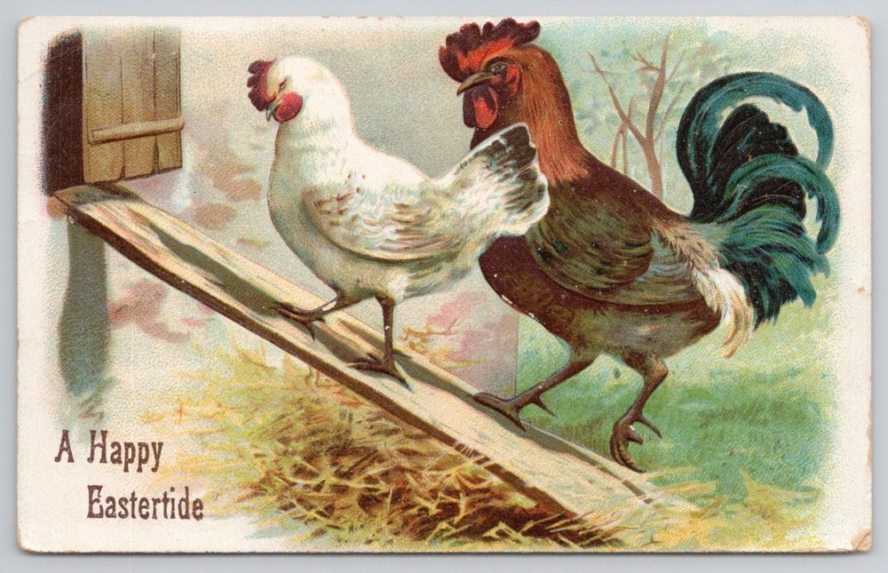 1908 Eastertide Postcard Rooster Hen Kintnersville PA Postmark Germany