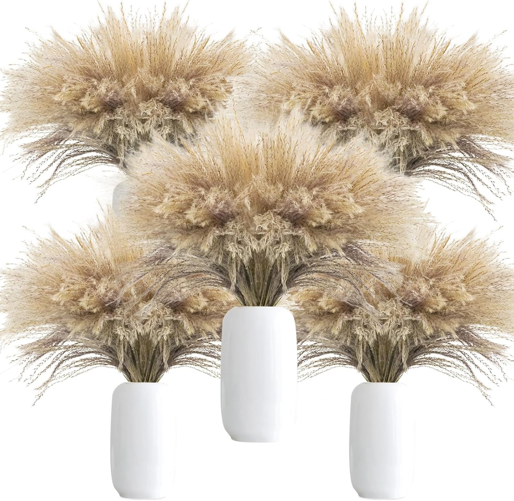 500Pcs Natural Dried Pampas Grass Plume 17Inch Tall Dried Flowers Bulk Reed Drie