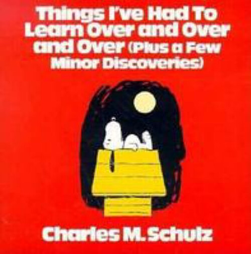 Essential Lessons Repeatedly Learned Alongside Minor Yet Valuable Insights