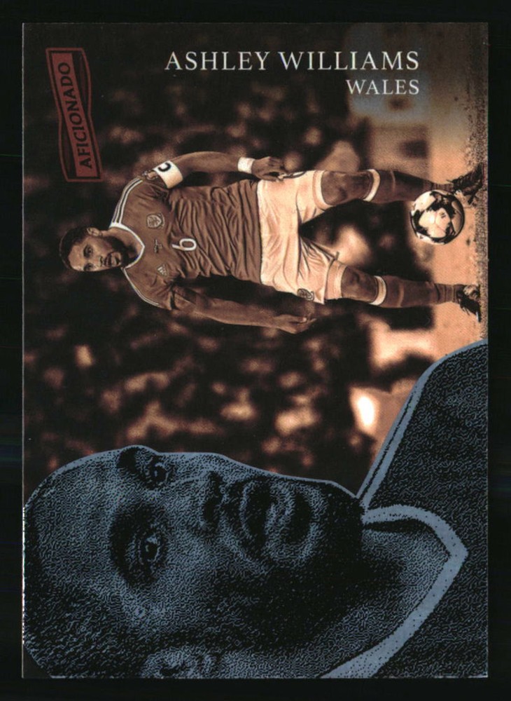 Ashley Williams 2016-17 Panini Aficionado #82 SOCCER Card