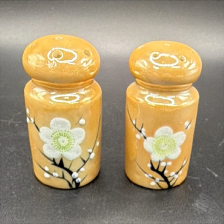 Orange White Green Floral Ceramic Salt & Pepper Shakers Set of 2, 2pc