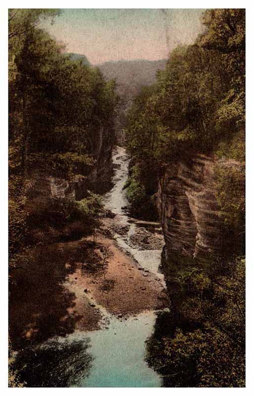 Postcard NATURE SCENE Between La Salle And Ottawa Illinois IL m/09 AP9190