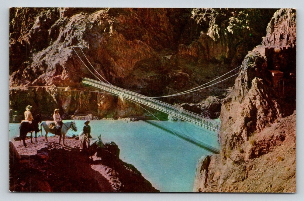 Kaibab Suspension Bridge Grand Canyon National Park Postcard Fred Harvey