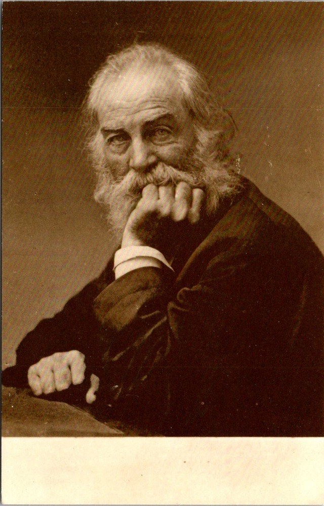 Dr Jim Stamps Postcard Walt Whitman As The Good Gray Poet After Civil War