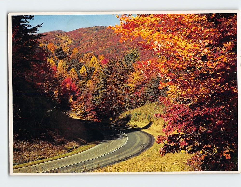 Postcard Fall color highway scene in the Great Smoky Mountains National Park USA