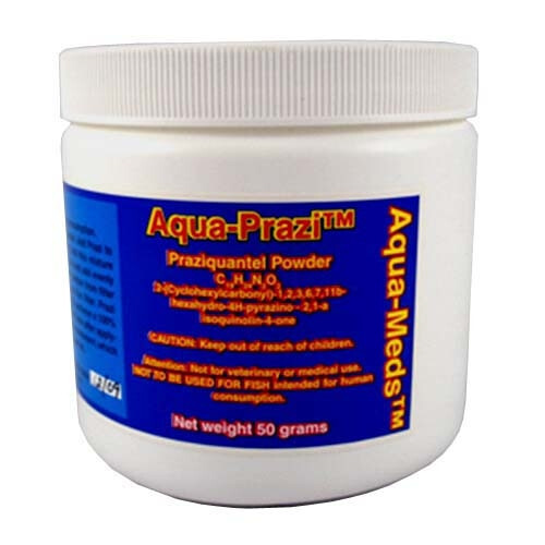 Aqua Meds Aqua Prazi Koi Fish Fluke Treatment 100g PZ100