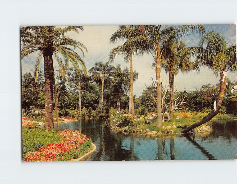 Postcard Scene at Busch Gardens Tampa Florida USA