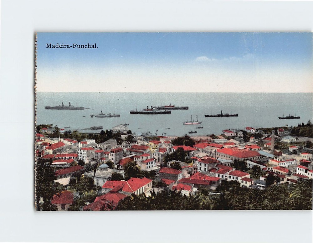 Postcard Aerial View Madeira Funchal Portugal