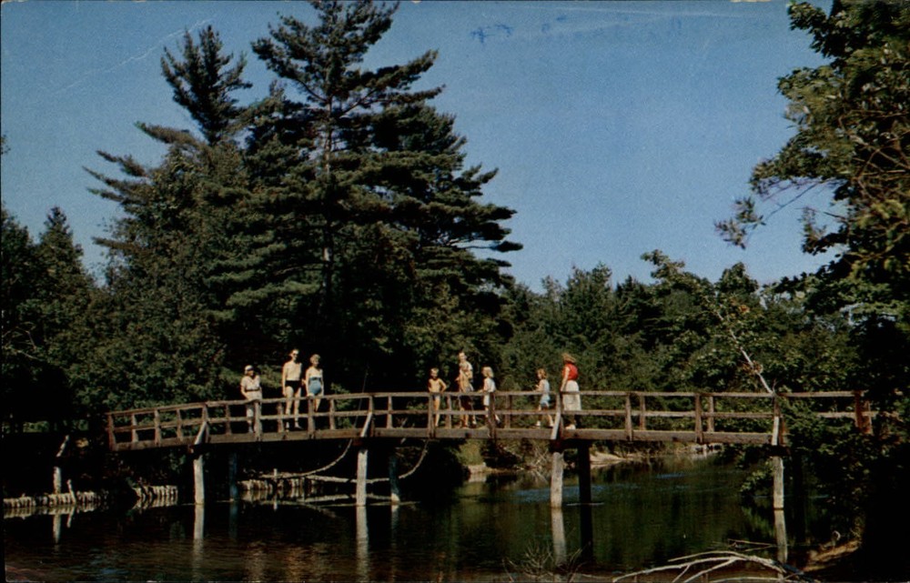 Michigan Ludington State Park footbridge ~ vintage postcard